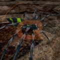 Thumbnail for version as of 21:13, 3 March 2024